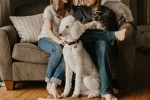 Photo Dog, family