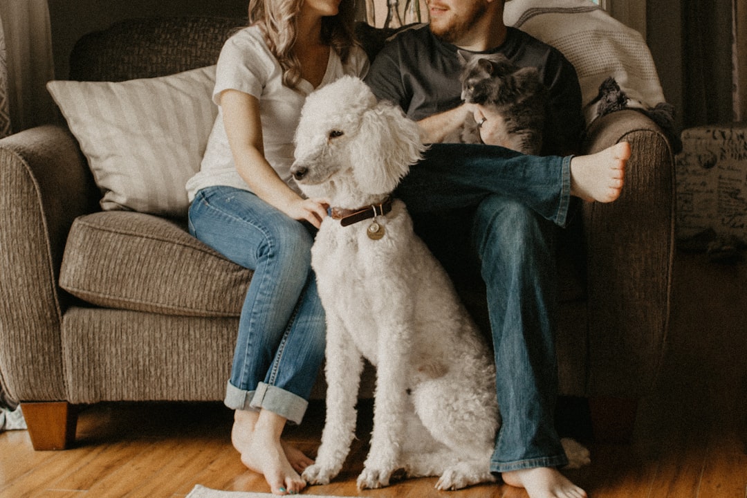 Photo Dog, family